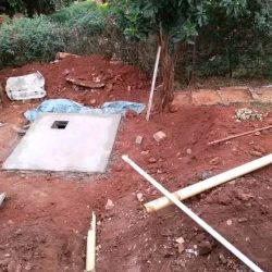 WhatsApp Image 2025-07-14 at 08.52.35