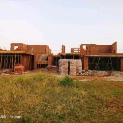 WhatsApp Image 2025-07-14 at 08.53.05