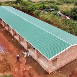 WhatsApp Image 2025-07-14 at 08.53.15 (1)