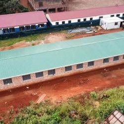 WhatsApp Image 2025-07-14 at 08.53.16